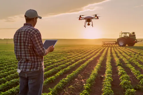 Drones agricoles survolant des cultures pour cartographier les parcelles, appliquer une pulvérisation ciblée et réduire les émissions polluantes globales