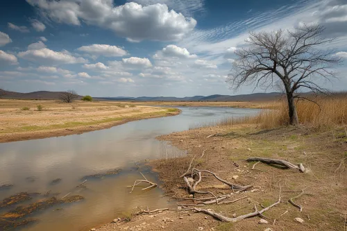 Vagues de chaleur, inondations et méga-feux bouleversent les écosystèmes, dérèglent les saisons et fragilisent durablement la biodiversité