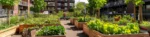 Vue d’une ville en transition écologique avec jardins partagés, ruches urbaines et réseau de circuits courts solidaires